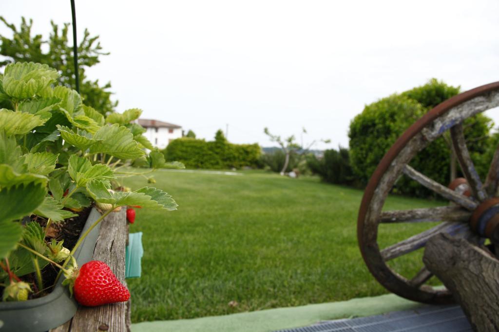 Massoni Bed And Breakfast 페스키에라델가르다 외부 사진